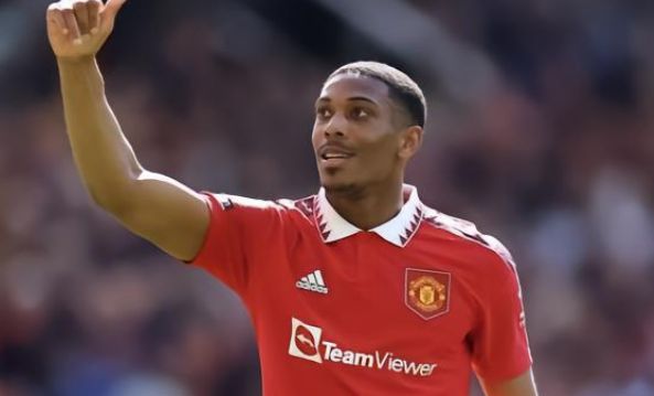 致敬传奇，布伦南-约翰逊进球后用孙兴慜招牌动作进行庆祝.